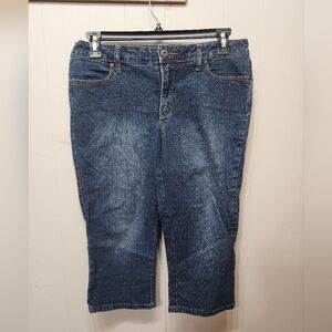 St John's Bay Denim Capri Pants Size 12 P 12P‎ Petite Blue Embroidered C279